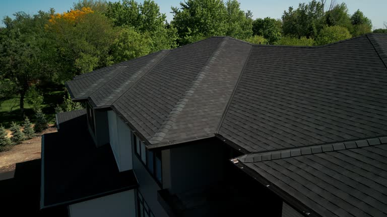 Best Solar Panel Roofing Installation  in Mahtomedi, MN