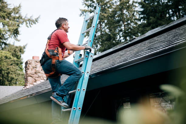 Best Roof Moss and Algae Removal  in Mahtomedi, MN